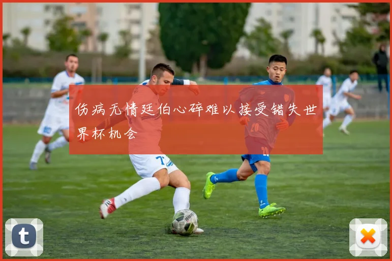 伤病无情廷伯心碎难以接受错失世界杯机会